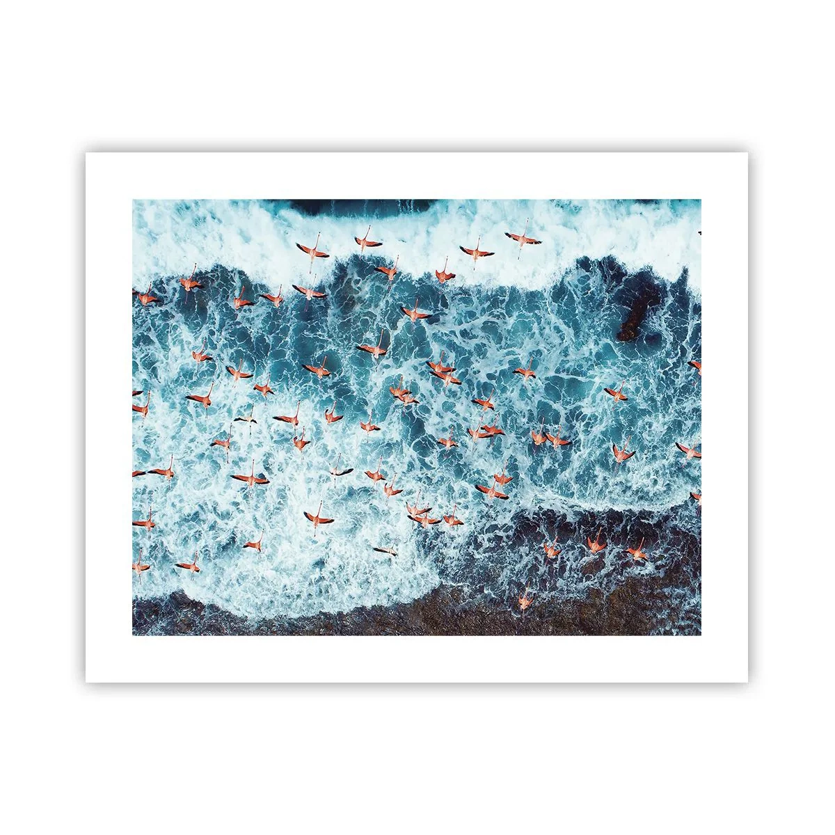 Plakat - Parade ved havet - 50x40 cm