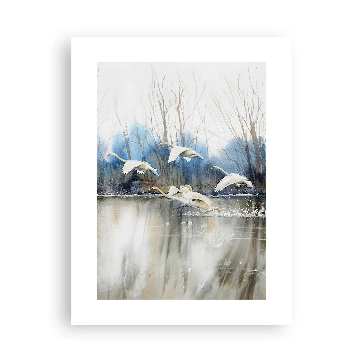 Plakat - Som i en fortælling om vilde svaner - 30x40 cm