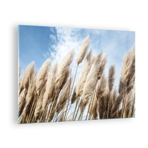 Billede på glas - Dekorative pampasgræsser mod en blå himmel - 70x50cm - Solrig og blæsende kærtegn - Moderne vægdekoration til stue og soveværelse ARTTOR