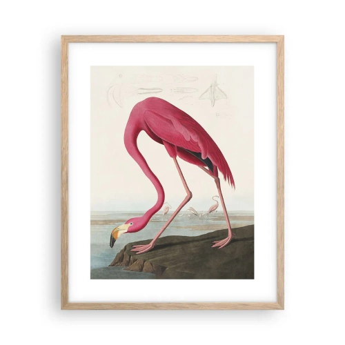 Plakat i ramme af lyst egetræ - Et forbløffende væsen - 40x50 cm