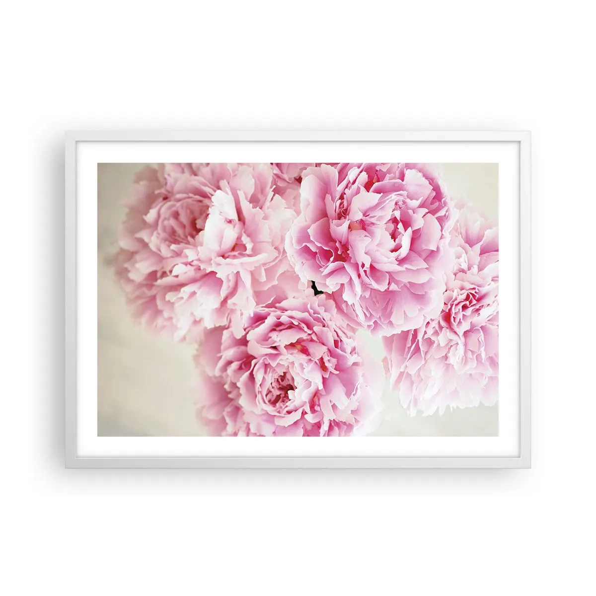 Plakat i hvid ramme - I lyserød glamour - 70x50 cm