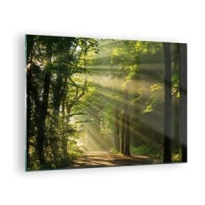 Billede på glas - En skovsti oplyst af solens stråler - 70x50cm - Øjeblik i skoven - Moderne vægdekoration til stue og soveværelse ARTTOR