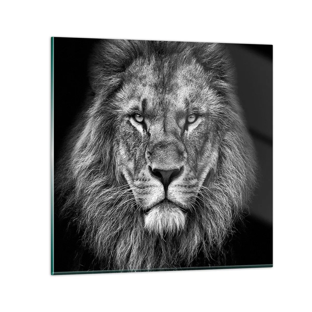 Billede på glas - I kroningsklædning - 50x50 cm