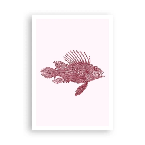 Plakat - En beboer i eksotiske farvande - 70x100 cm
