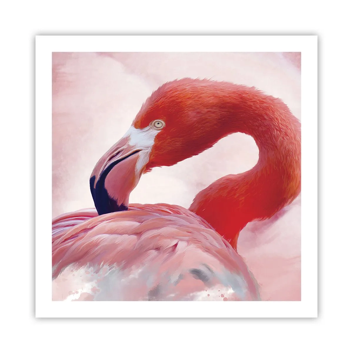 Plakat - Fugleskønhed - 60x60 cm