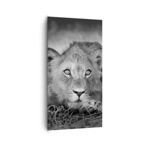 Lærredstryk - Billede på lærred - Kongelig hvalp - 65x120 cm