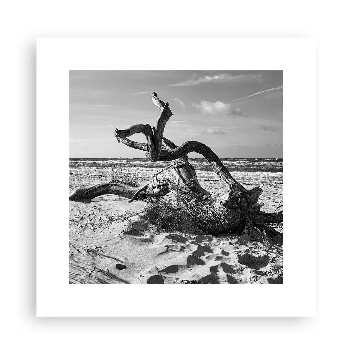 Plakat - Havets skulptur - 30x30 cm
