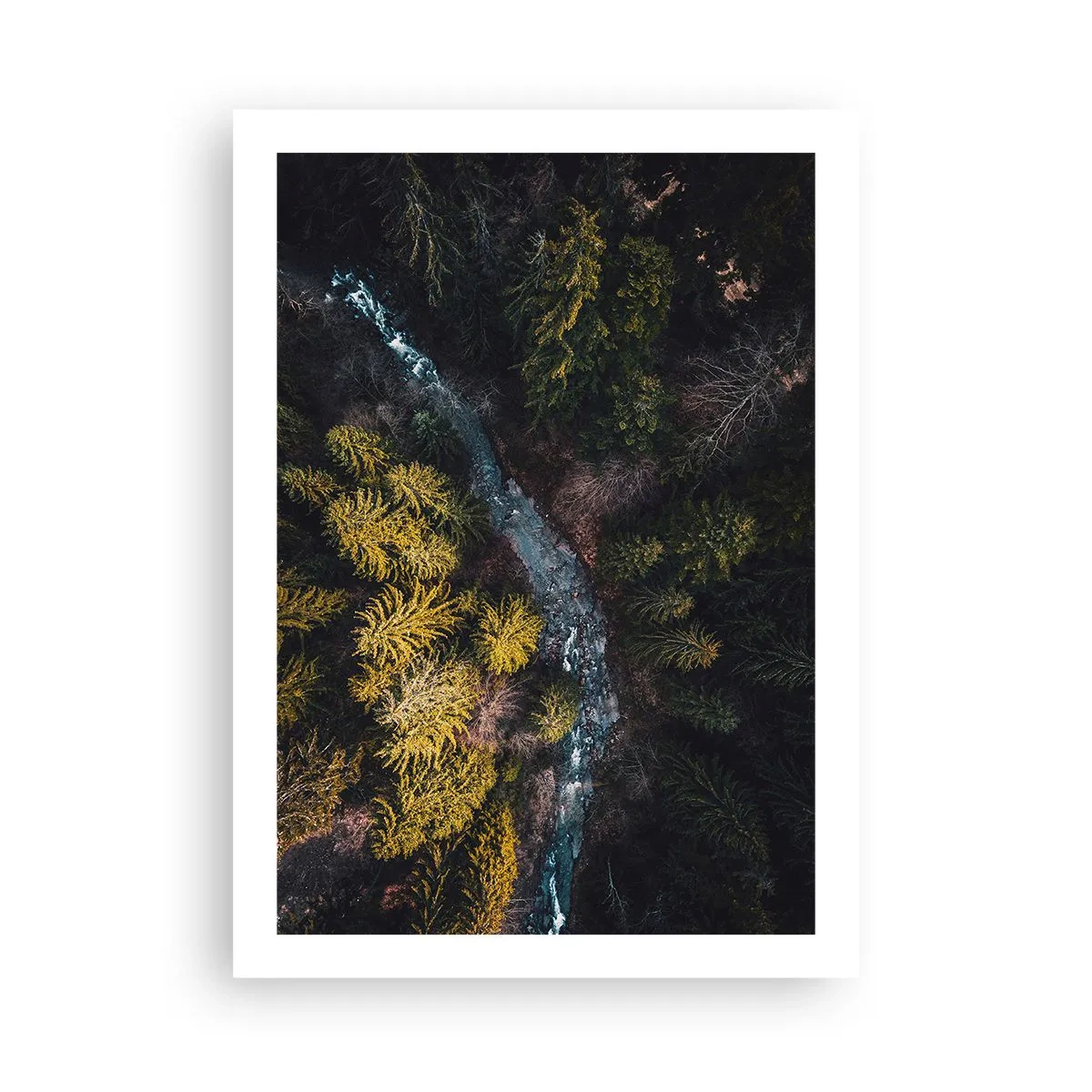 Plakat - Hurtigt, stadig hurtigere - 50x70 cm