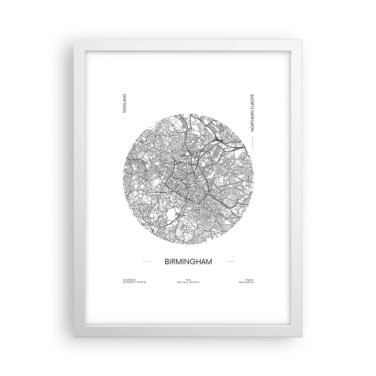 Plakat i hvid ramme - Birminghams anatomi - 30x40 cm
