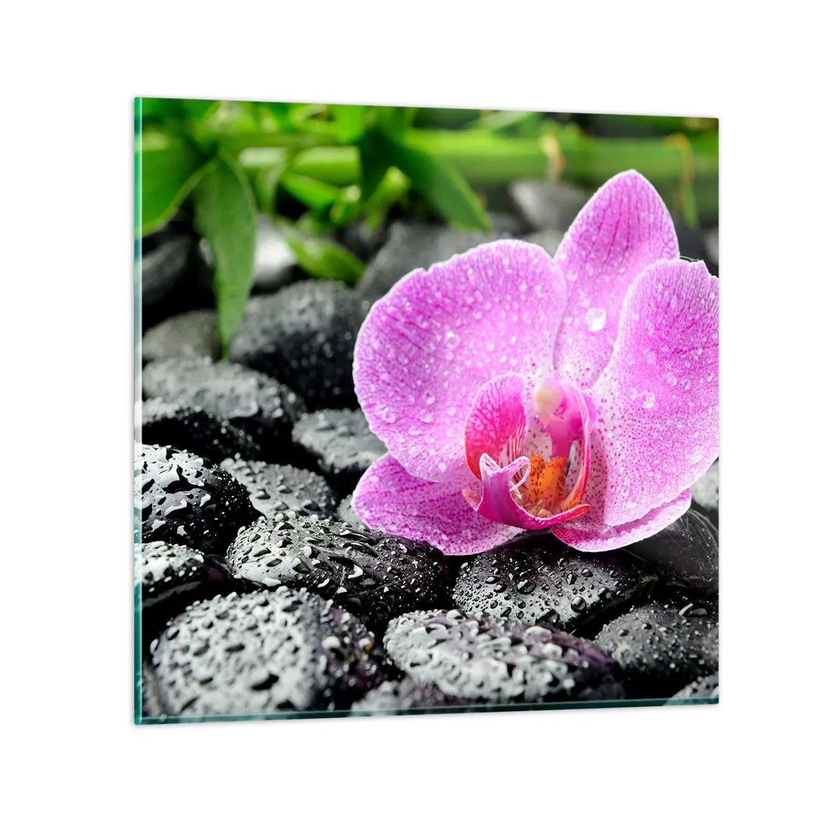 Billede på glas - Som et åbent hjerte - 40x40 cm