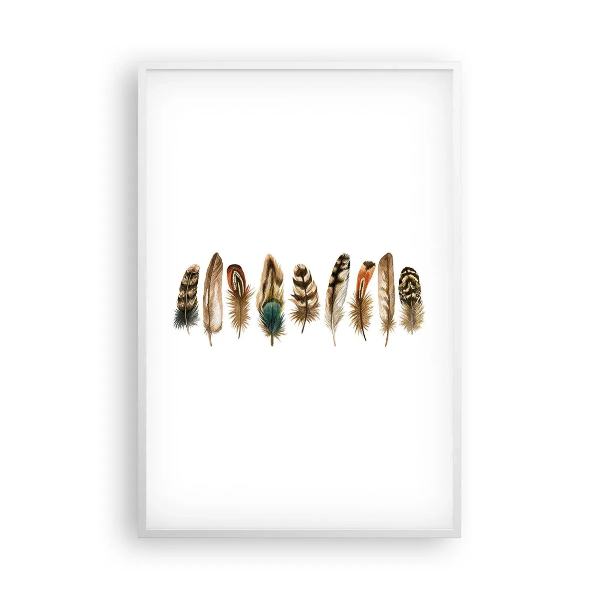Plakat i hvid ramme - Variation med fjer - 61x91 cm