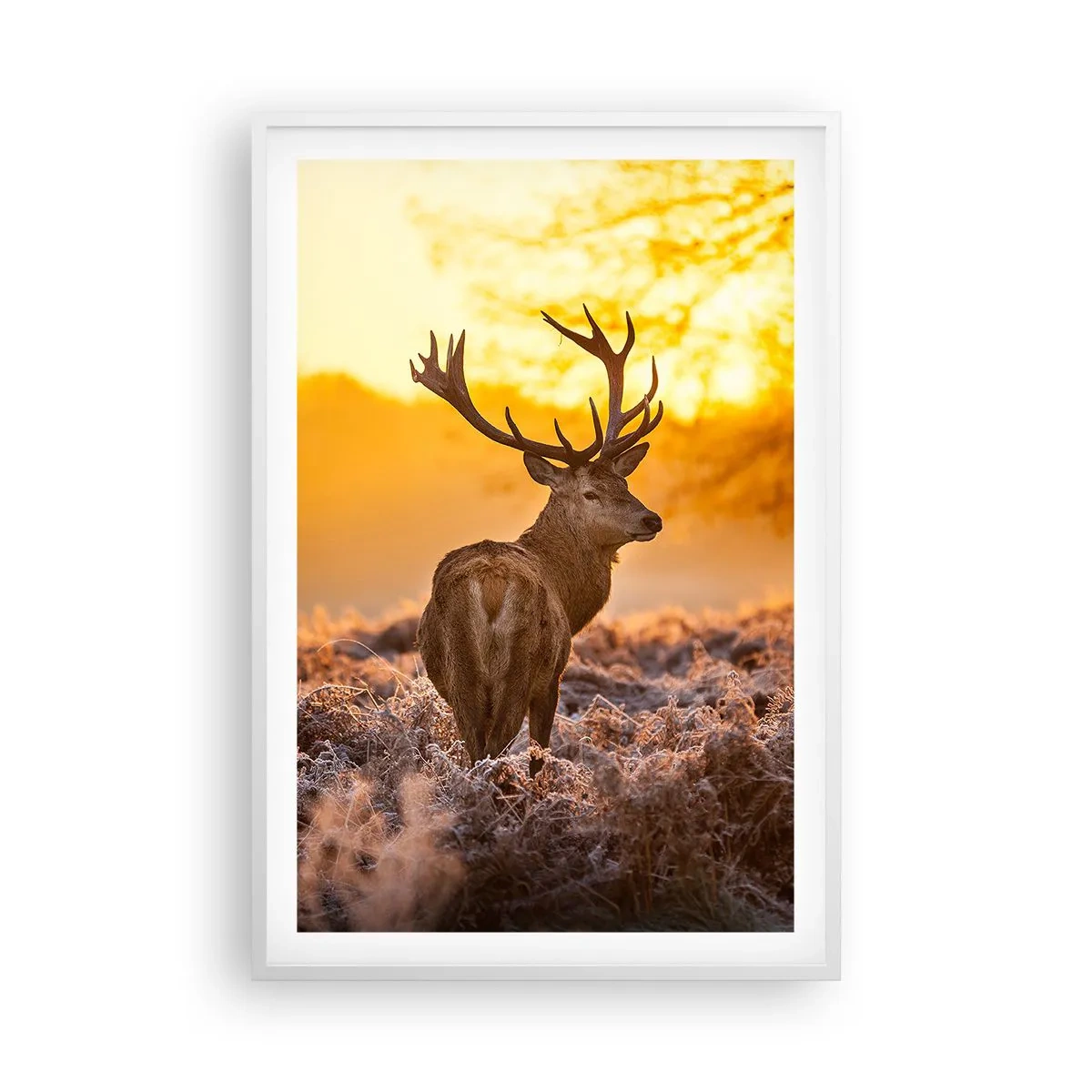 Plakat i hvid ramme - Kongen af efterårsskoven - 61x91 cm