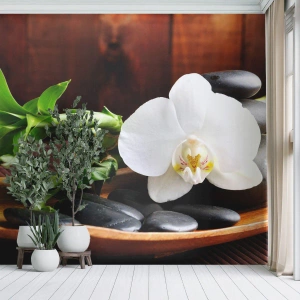 Fototapet Standard Eco - Overgiv dig til naturens berøring - Blomster, Orkidé, Orkidé - 200x140 cm
