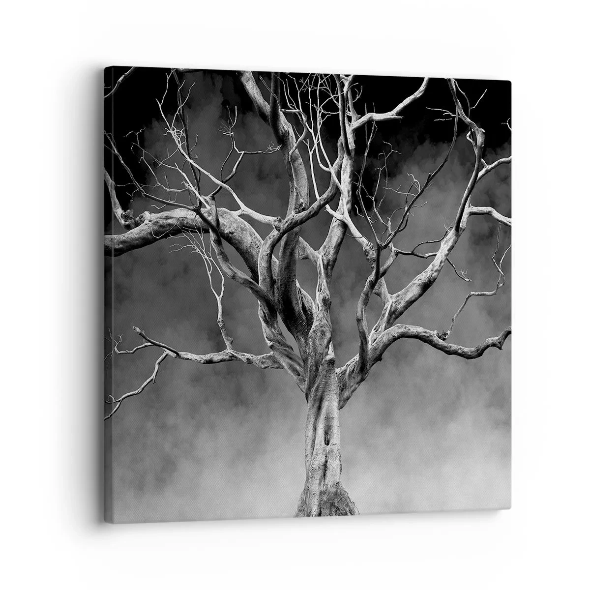 Lærredstryk - Billede på lærred - Primær og hellig - 30x30 cm