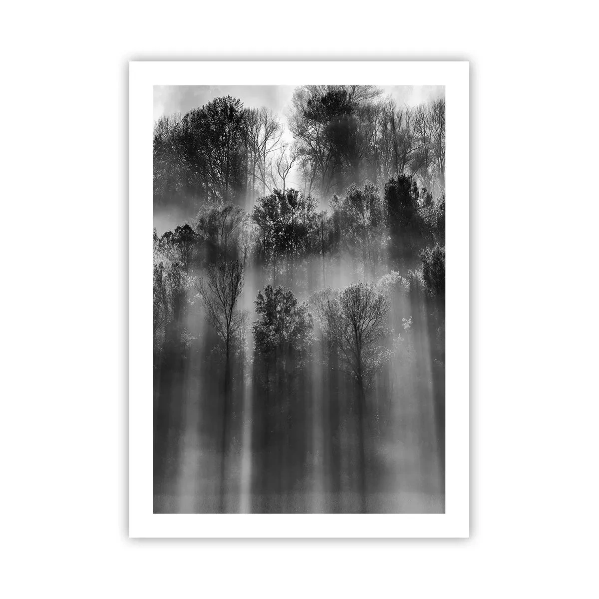 Plakat - I stråler af lys - 50x70 cm