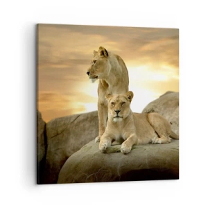 Lærredstryk - Billede på lærred - Kongelig majestæt - 50x50 cm