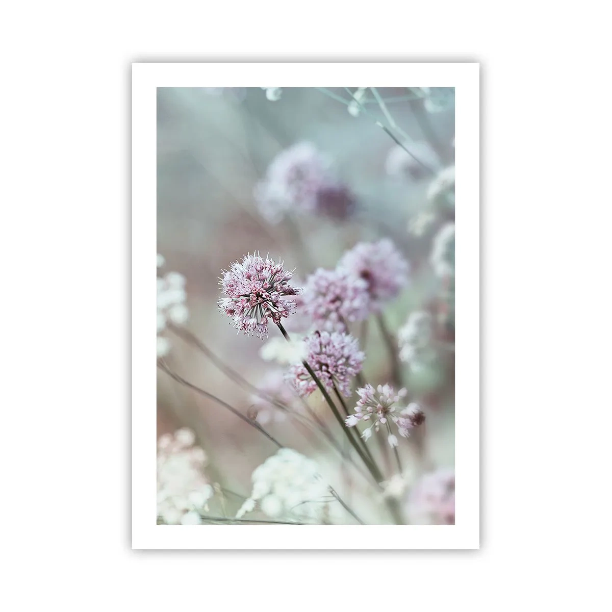 Plakat - Søde filigranurter - 50x70 cm