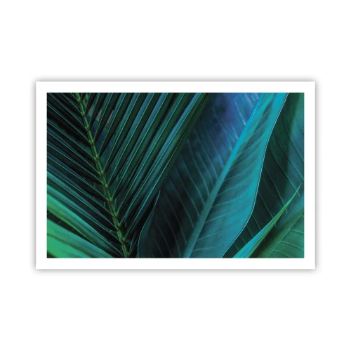 Plakat - Anatomi af en grøn - 91x61 cm