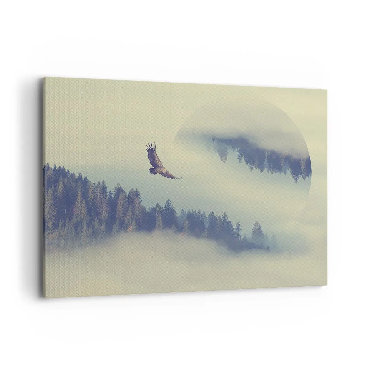 Lærredstryk - Billede på lærred - Jeg så en ørnes skygge - 100x70 cm