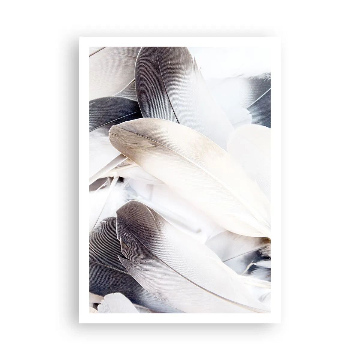 Plakat - Næsten engleagtig - 70x100 cm