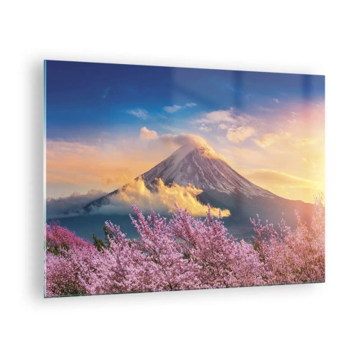 Billede på glas - Fuji-bjerget i baggrunden med blomstrende sakuratræer i forgrunden - 70x50cm - Japansk hellighed - Moderne vægdekoration til stue og soveværelse ARTTOR