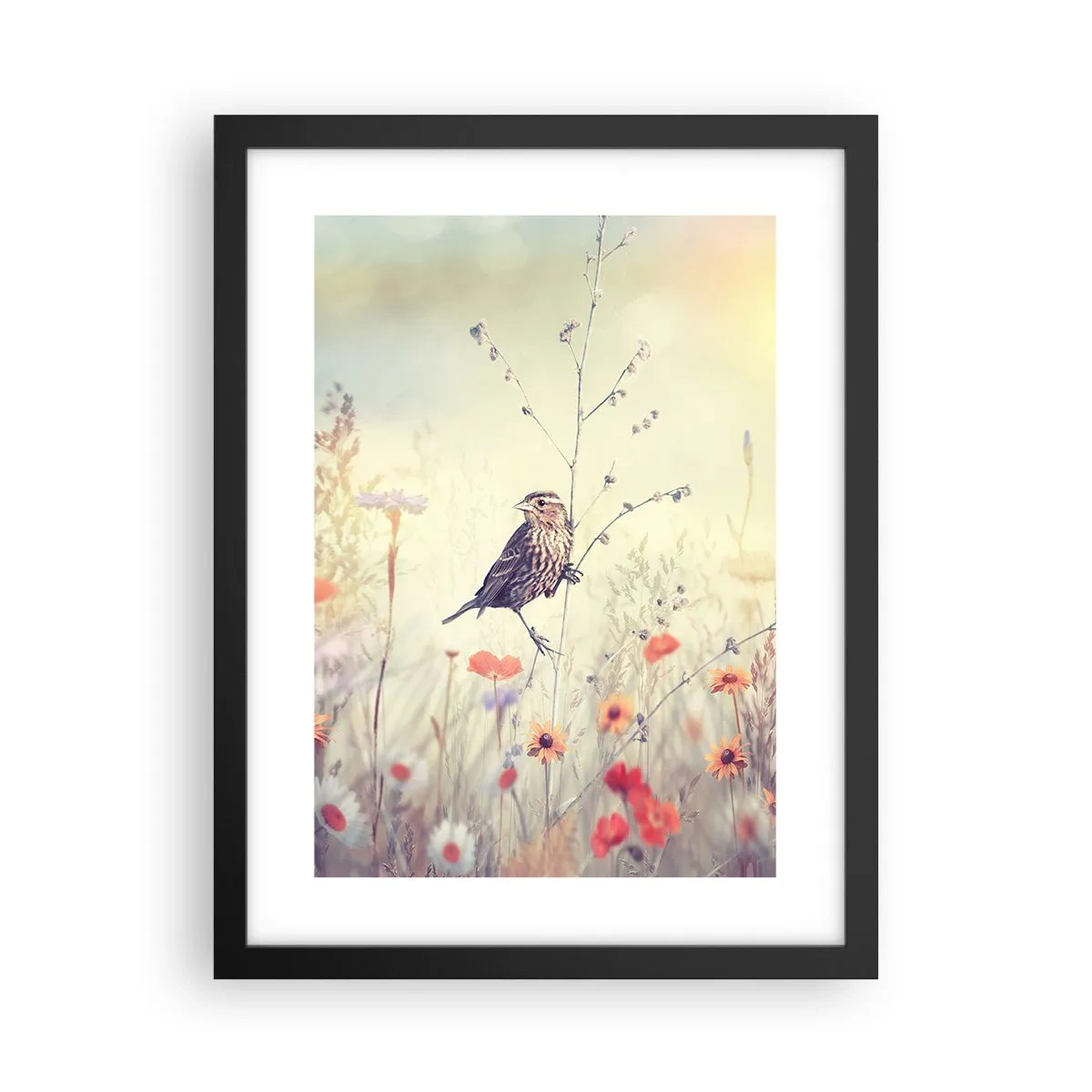 Plakat i sort ramme - Fugleportræt med en eng i baggrunden - 30x40 cm