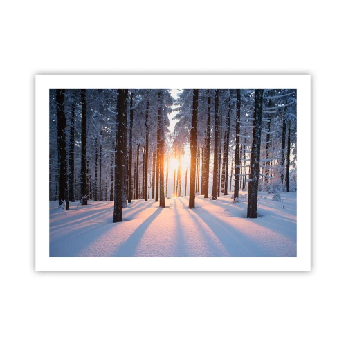 Plakat - Klart i sort og hvidt - 70x50 cm