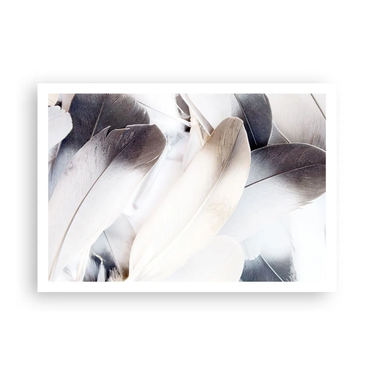 Plakat - Næsten engleagtig - 100x70 cm