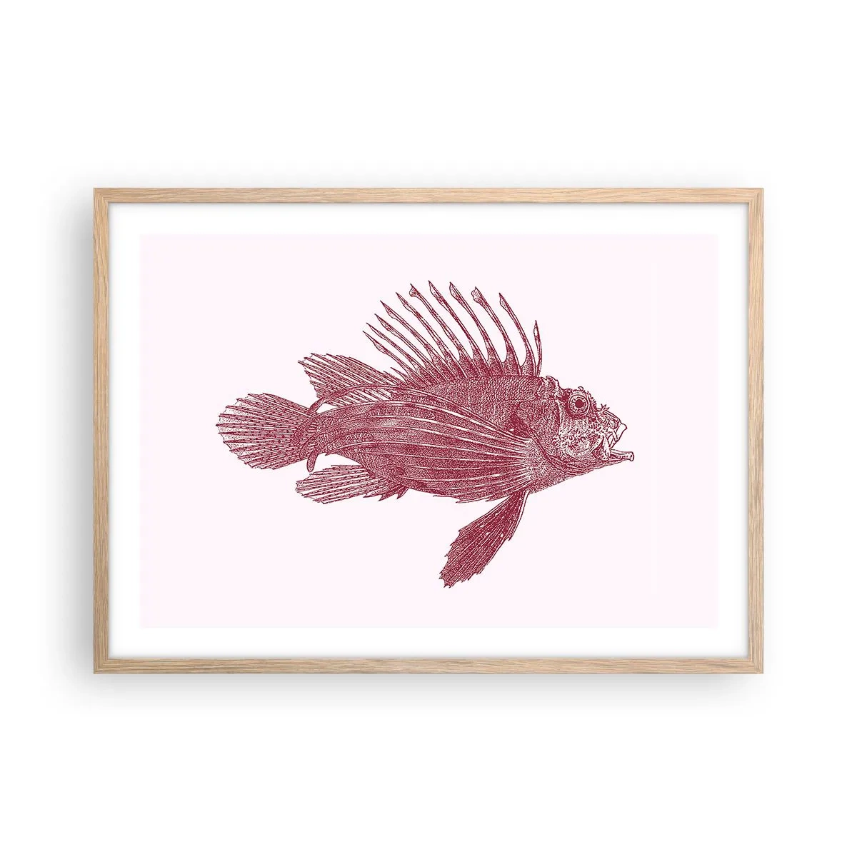Plakat i ramme af lyst egetræ - En beboer i eksotiske farvande - 70x50 cm