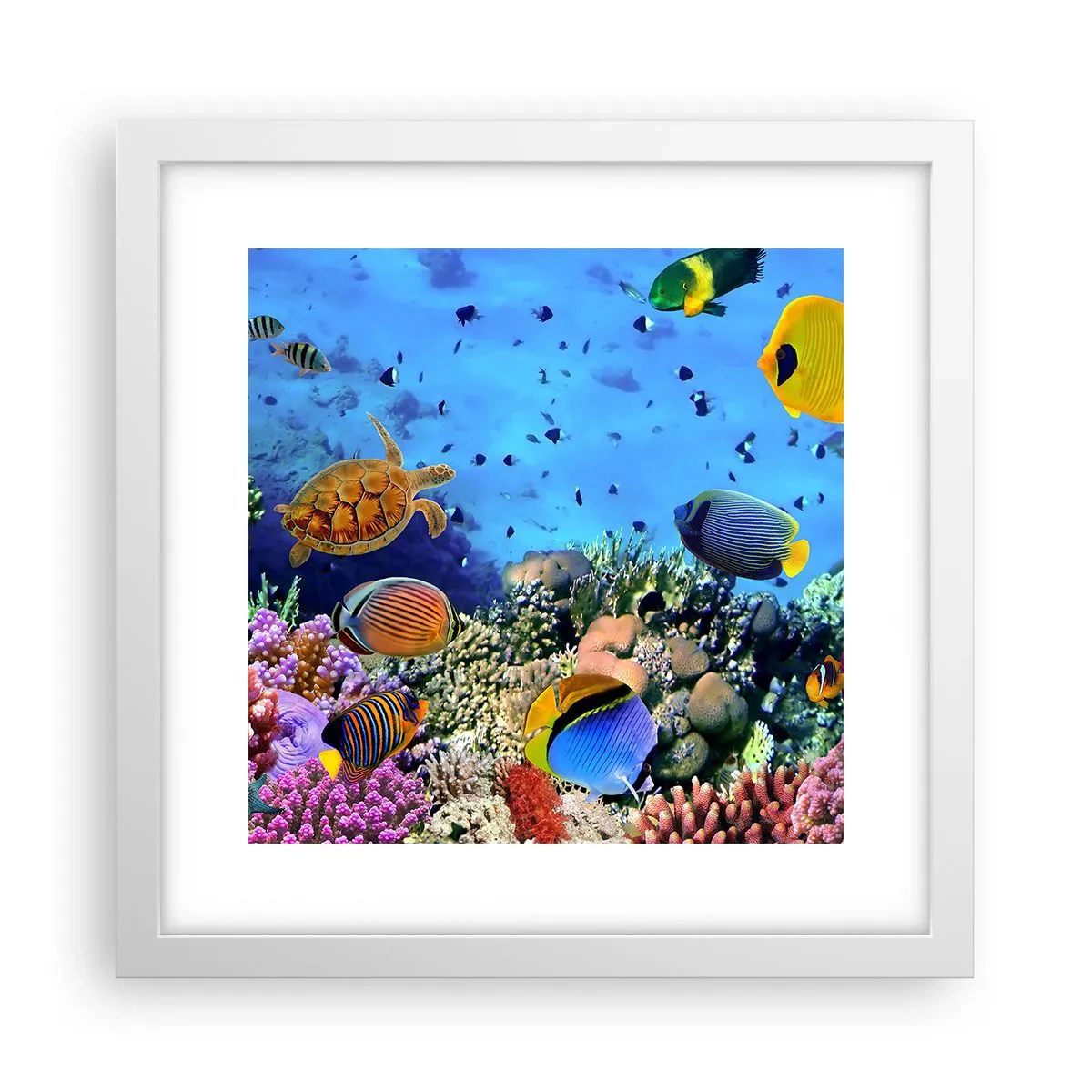 Plakat i hvid ramme - Og hvad ved vi om livet... - 30x30 cm