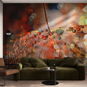 Fototapet Premium Canvas - Trådet på et edderkoppespind - Abstraktion, edderkoppespind, Stykke - 250x175 cm