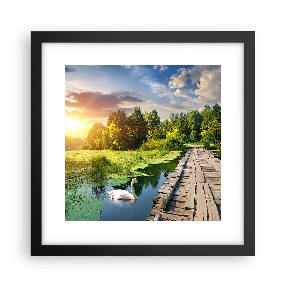 Plakat i sort ramme - Sommer, sommer overalt - 30x30 cm