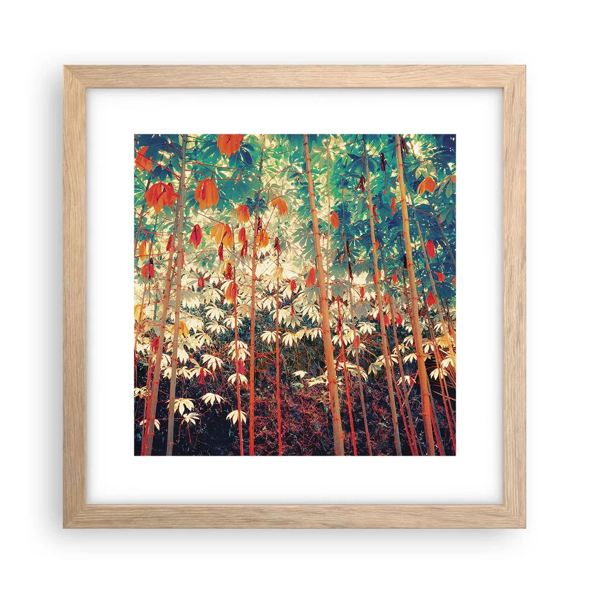 Plakat i ramme af lyst egetræ - Bladenes hemmelige liv - 30x30 cm