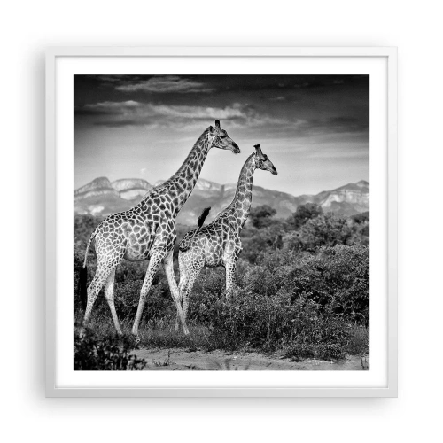 Plakat i hvid ramme - Afrikas overklasse - 60x60 cm