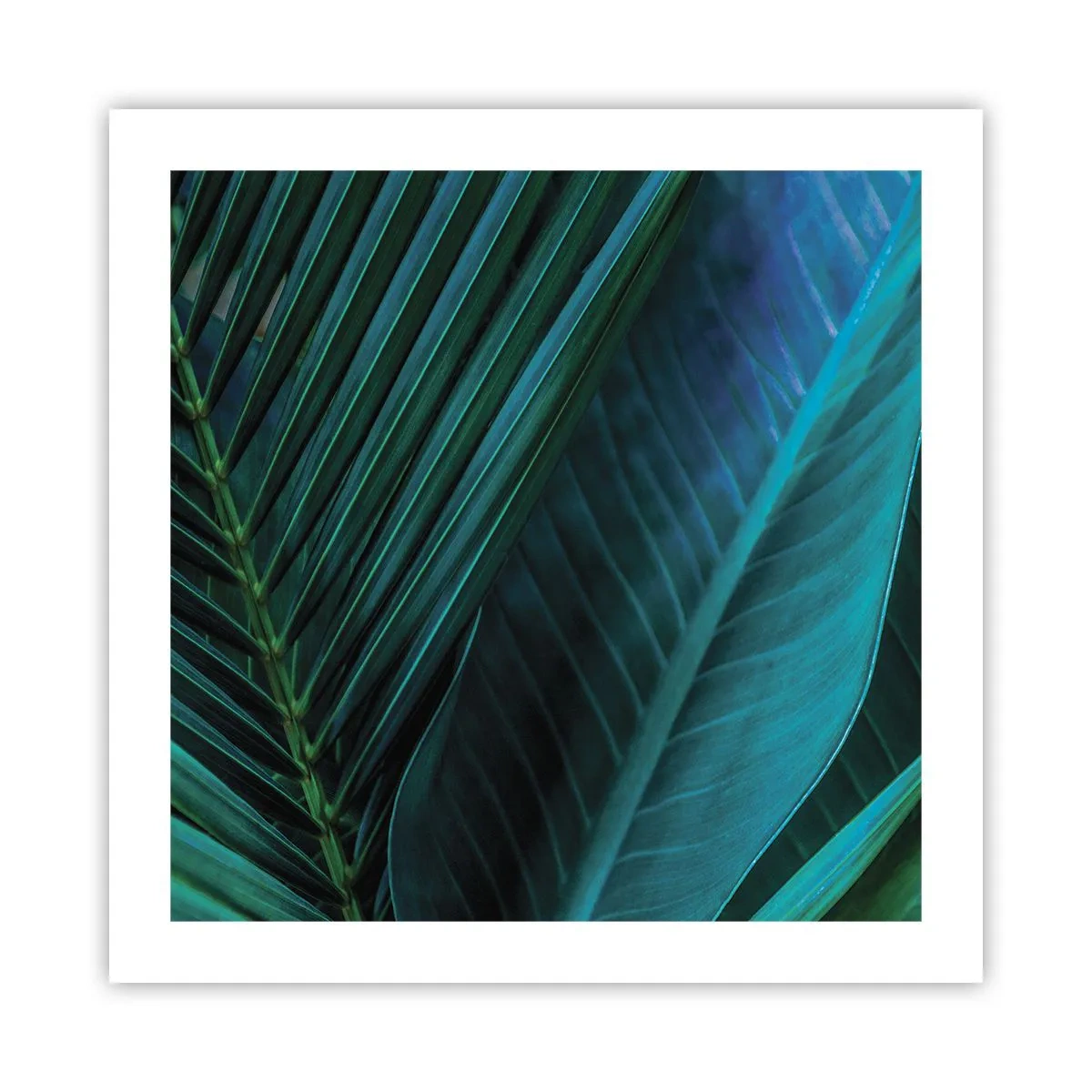 Plakat - Anatomi af en grøn - 50x50 cm