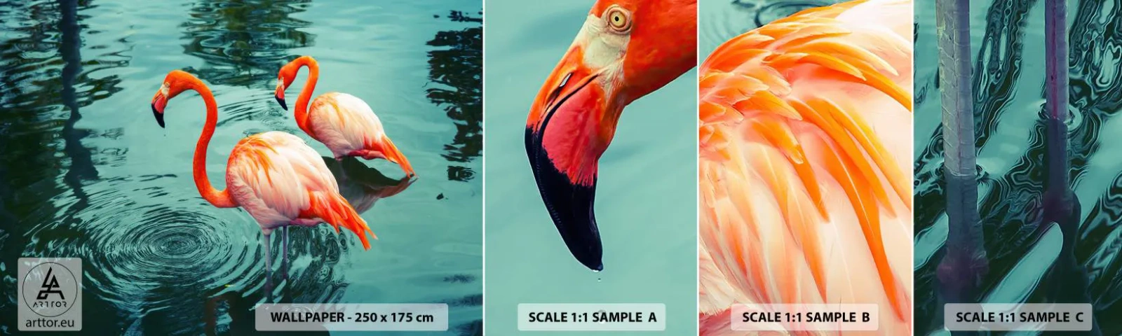 Fototapet Prøve Standard Eco - Vi er nu på mode - Flamingoer, Fugle, Natur - 100x30 cm