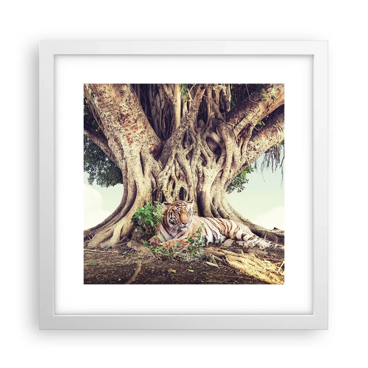 Plakat i hvid ramme - Udsigt fra Første Mosebog - 30x30 cm