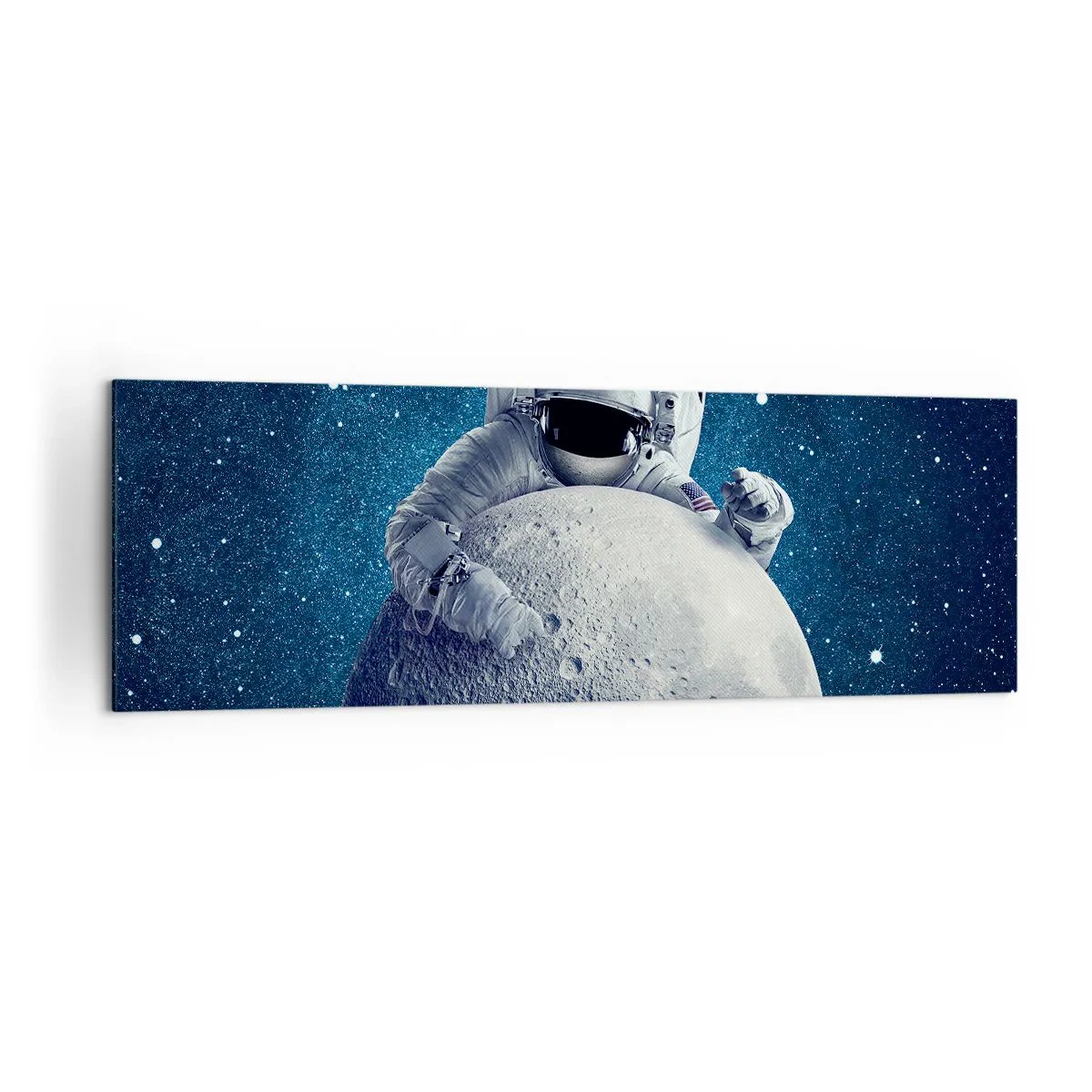 Lærredstryk - Billede på lærred - Kosmisk spøgefugl - 160x50 cm