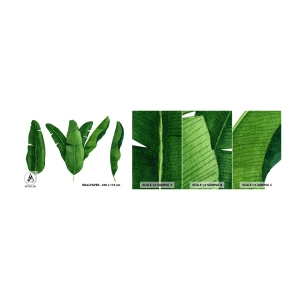 Fototapet Prøve Standard Eco - Grøn symmetri - Bananblad, Tropisk, Botanisk stil - 100x30 cm
