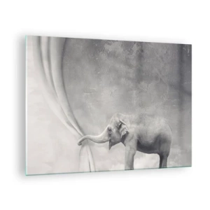 Billede på glas - En elefant i surrealistiske omgivelser med et forhæng - 70x50cm - Afslør hemmeligheden - Moderne vægdekoration til stue og soveværelse ARTTOR