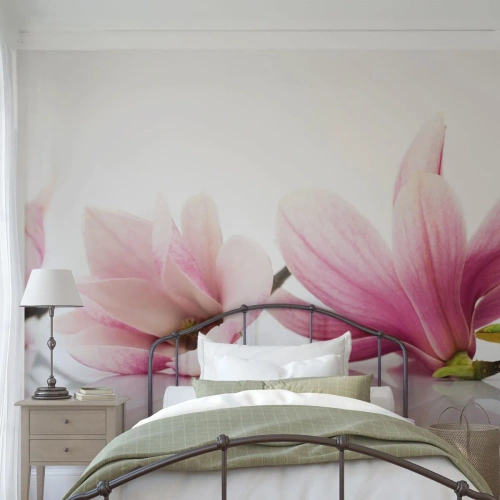 Fototapet Premium Sand - Blød som et åndedrag af forår - Blomst, Magnolia, Natur - 450x315 cm