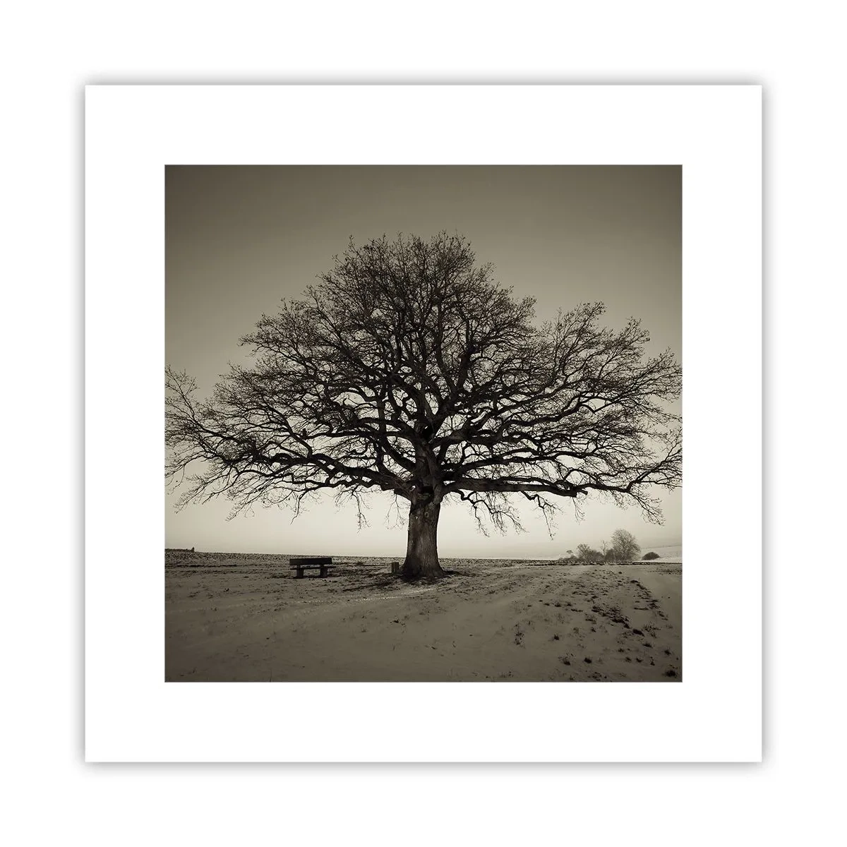 Plakat - Herfra og til evigheden - 30x30 cm