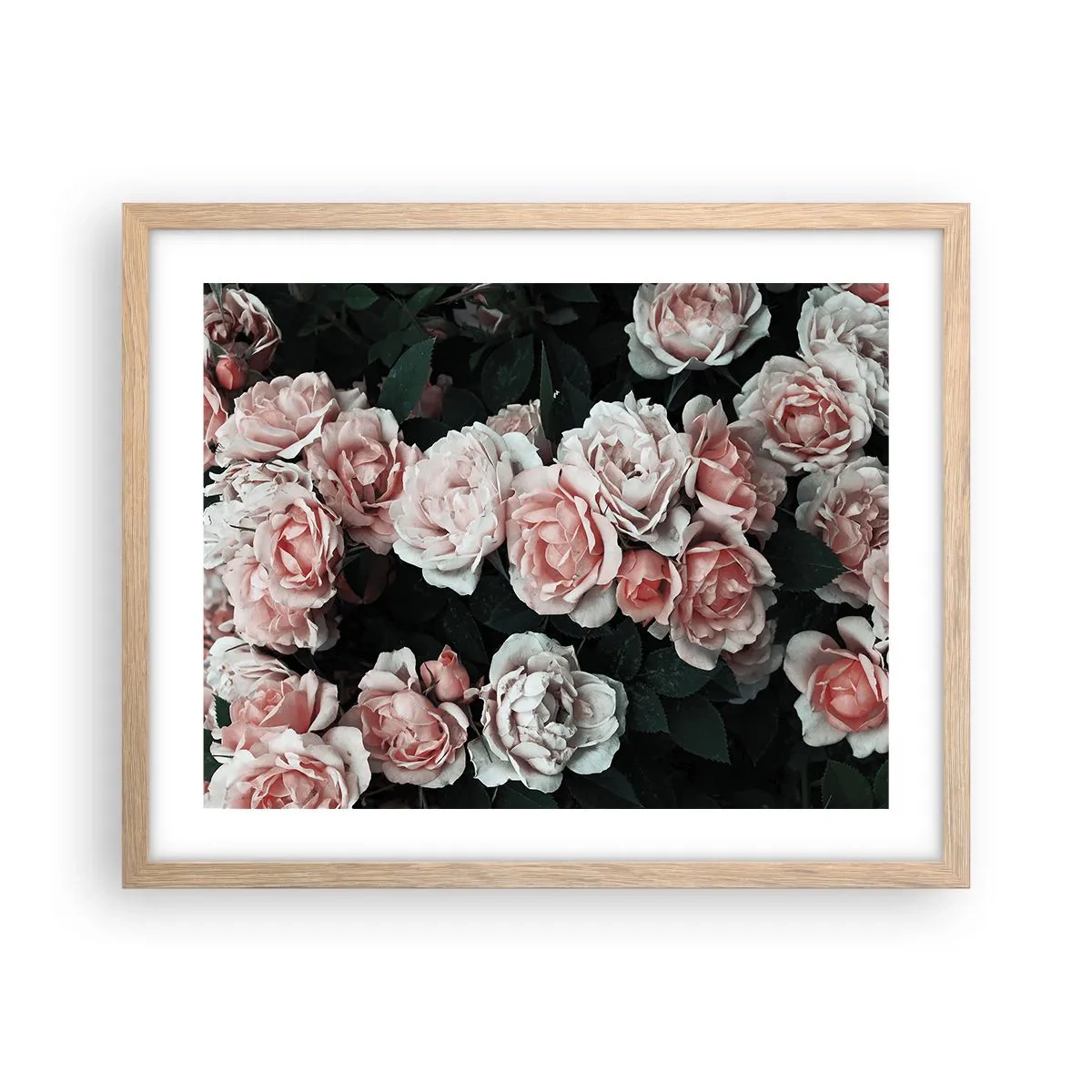 Plakat i ramme af lyst egetræ - Lyserød ansamble - 50x40 cm