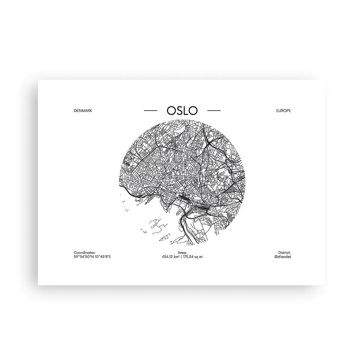 Plakat - Anatomi af Oslo - 70x50 cm