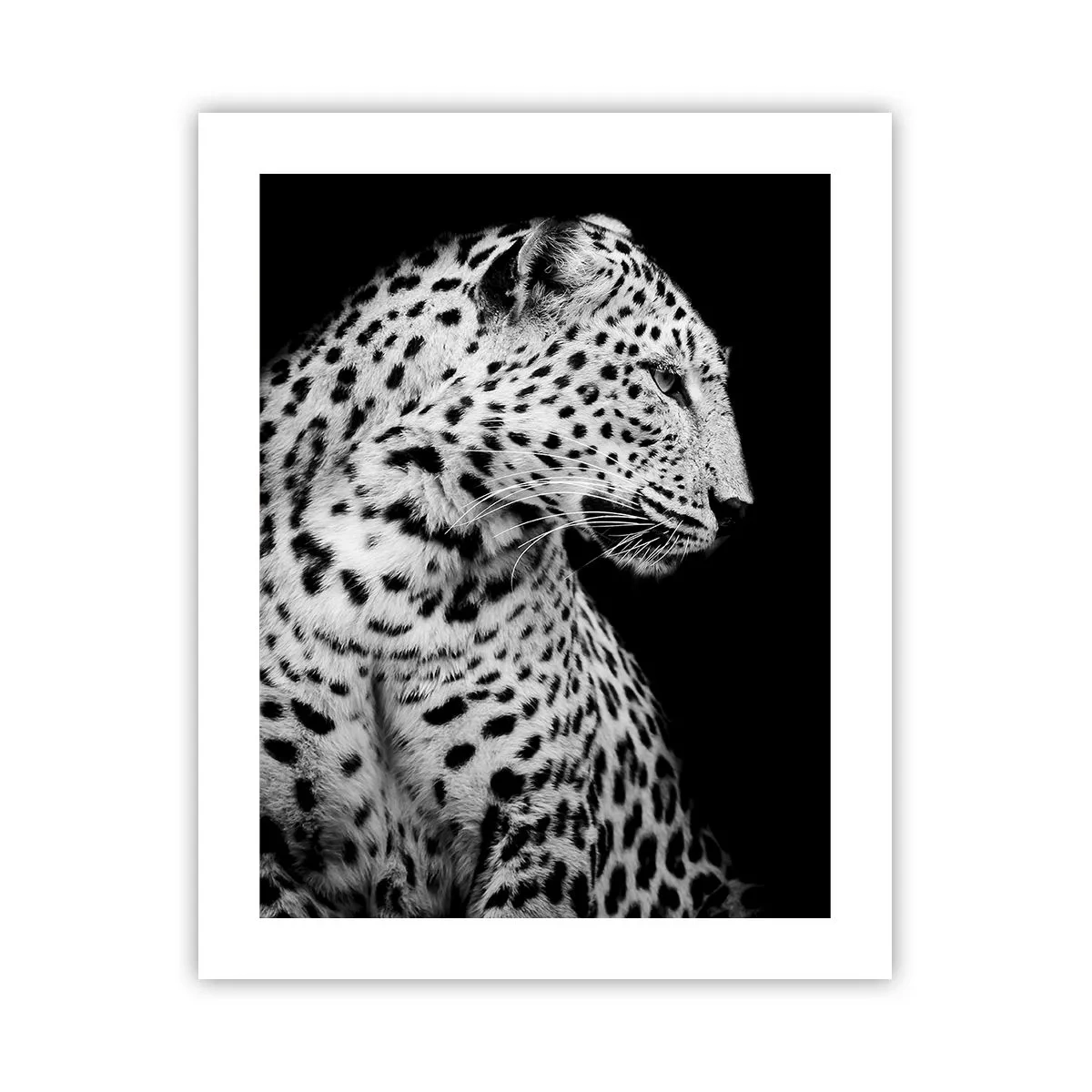 Plakat - Den rigtige profil er perfekt! - 40x50 cm