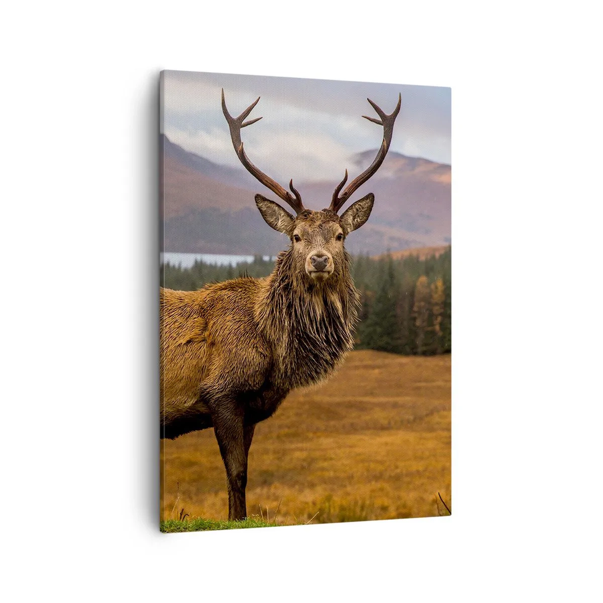 Lærredstryk - Billede på lærred - Naturens majestæt - 50x70 cm