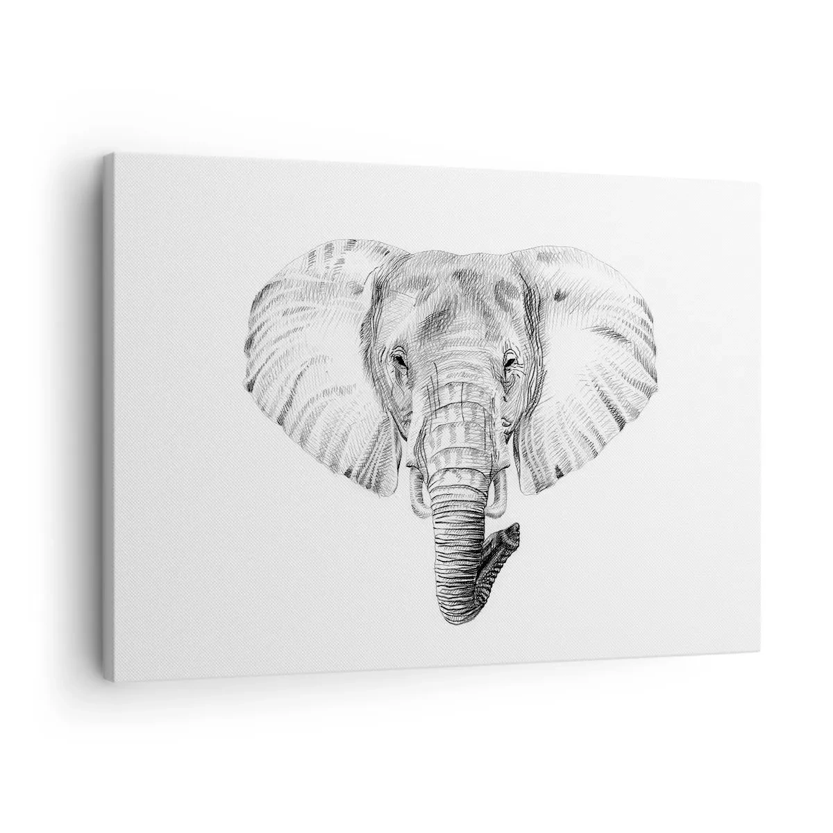 Lærredstryk - Billede på lærred - Sort-hvid tegning af et elefanthoved på en hvid baggrund - 70x50cm - "Der var en elefant, stor som - en elefant". - Moderne vægdekoration til stue og soveværelse ARTTOR