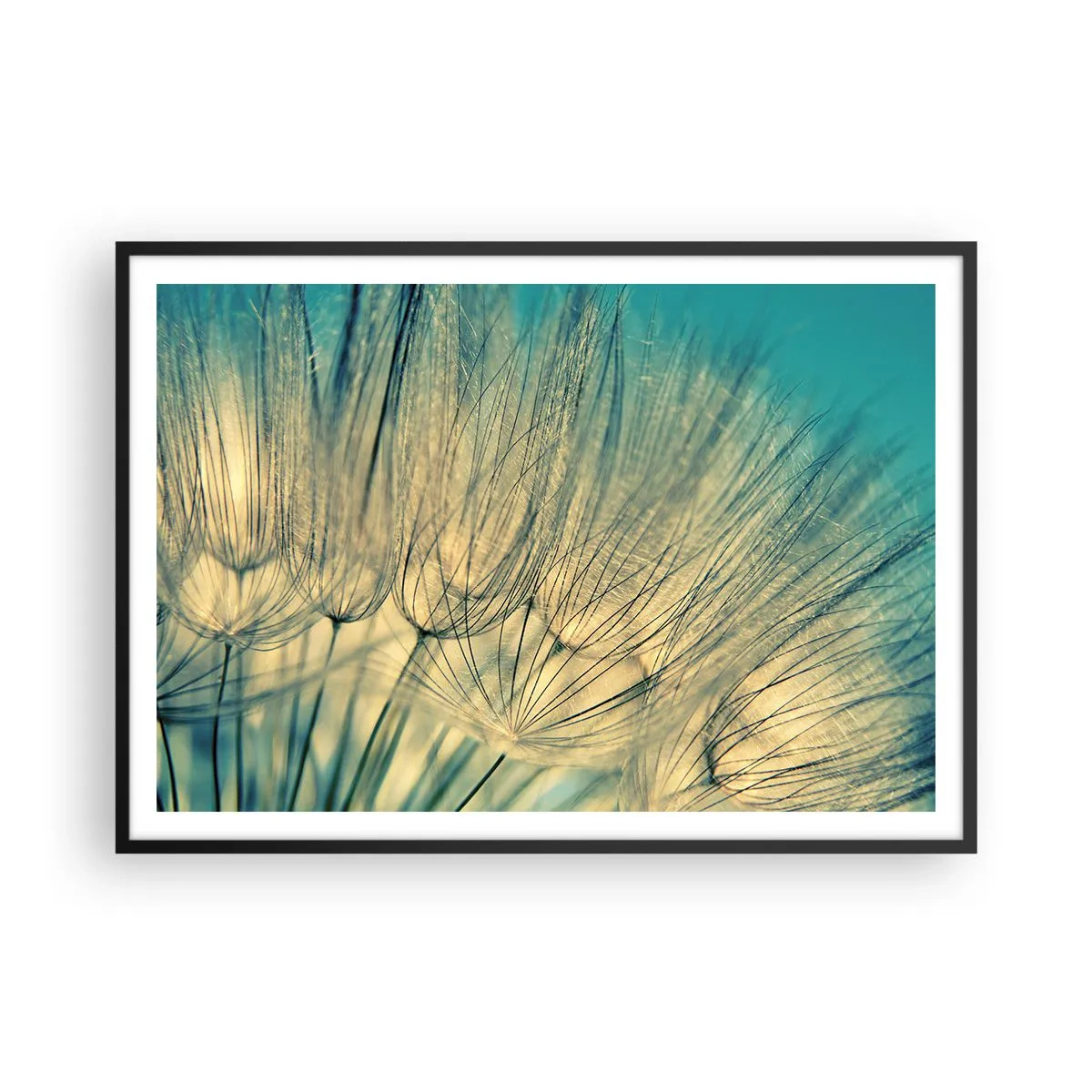 Plakat i sort ramme - Venter på vinden - 100x70 cm