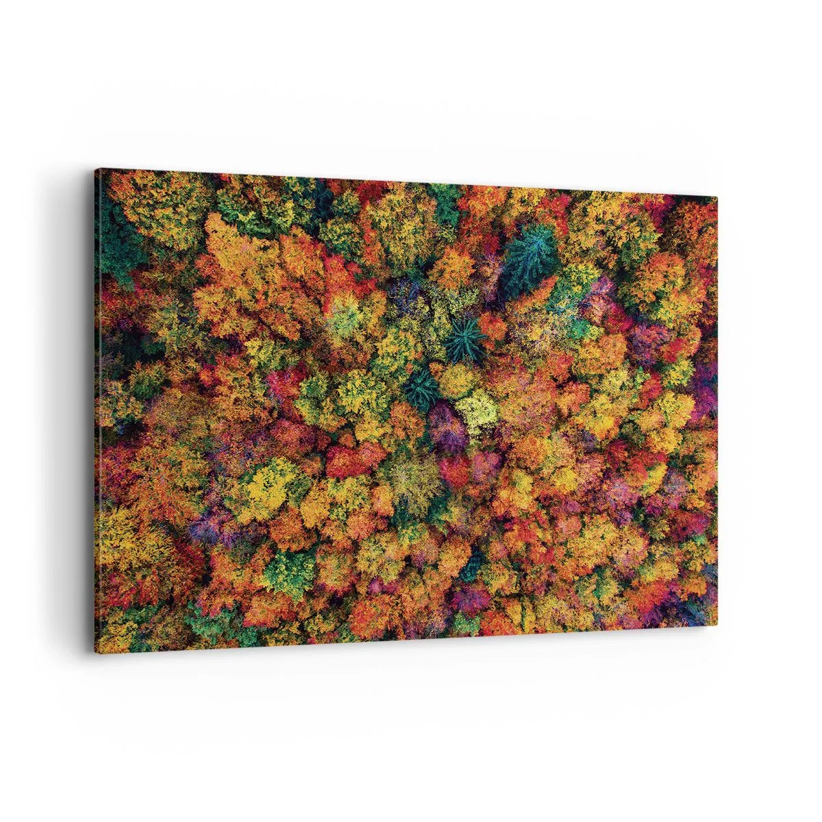 Lærredstryk - Billede på lærred - Buket af efterårstræer - 100x70 cm