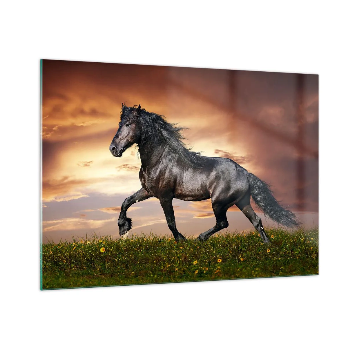 Billede på glas - Sort prins - 100x70 cm